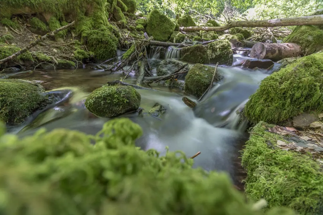 Rivière cascade du Nideck