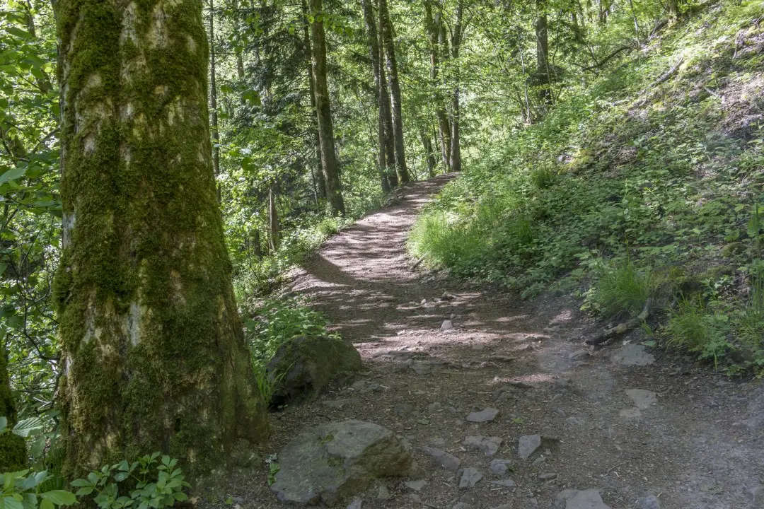 Sentier Cascade du Nideck