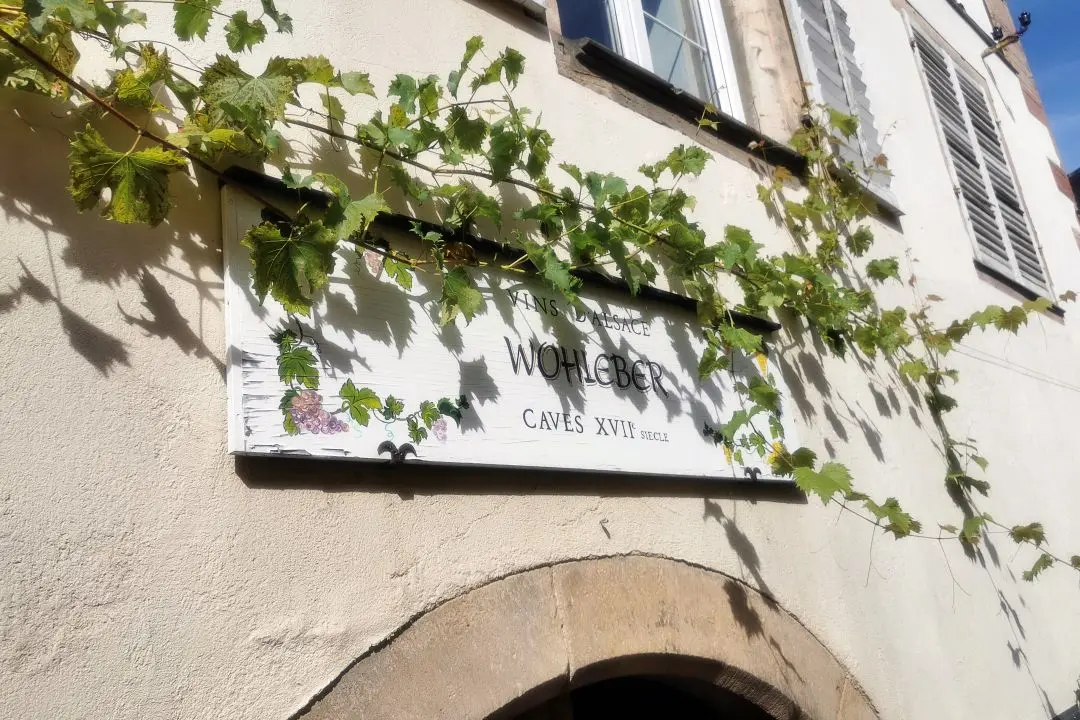 caves caveau dégustation vin domaine wohleber andlau