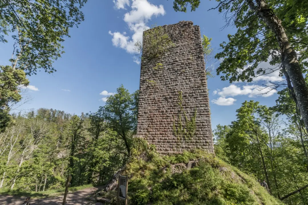 donjon du Bas-Nideck