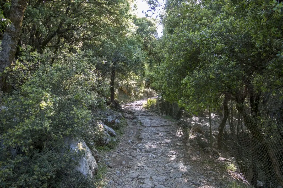 chemin des ânes plateau du lassithi