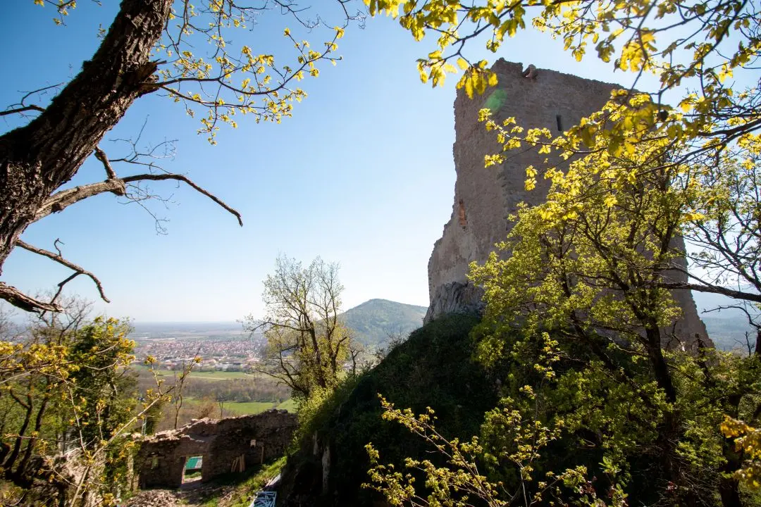 arrière château ramstein