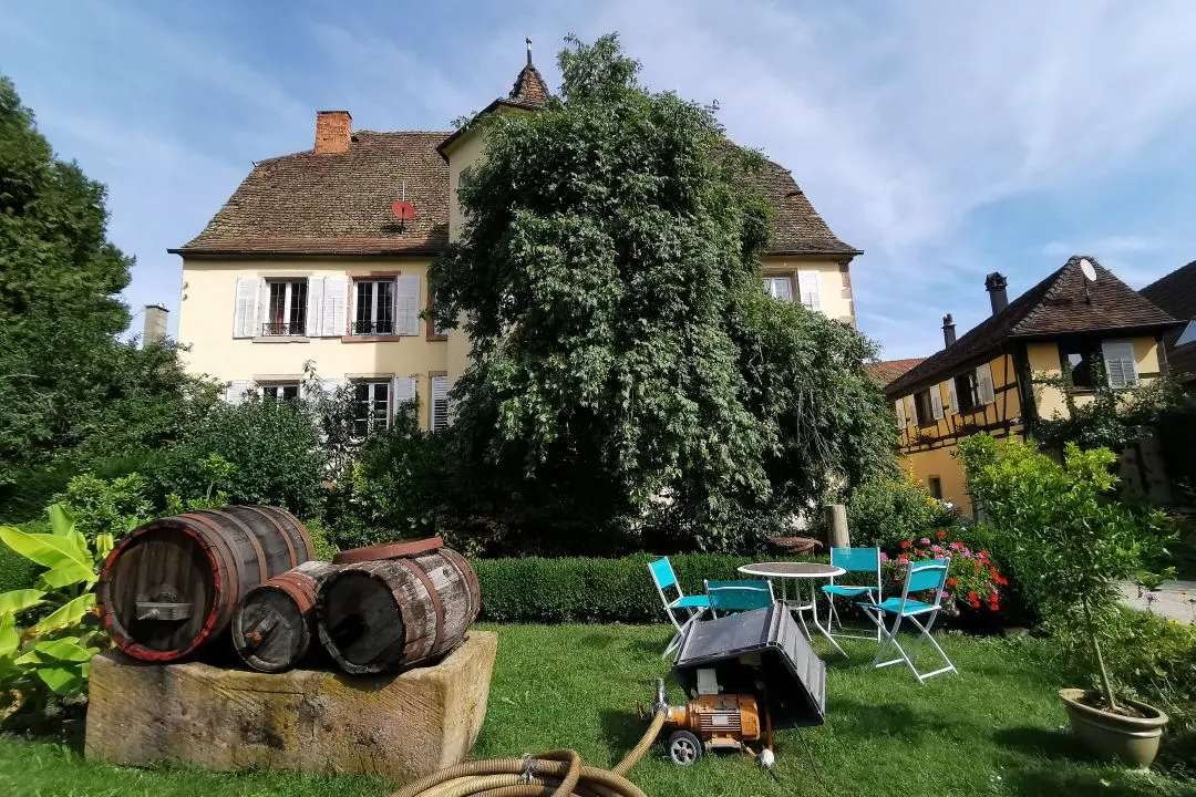 cour domaine wohleber dégustation vin andlau