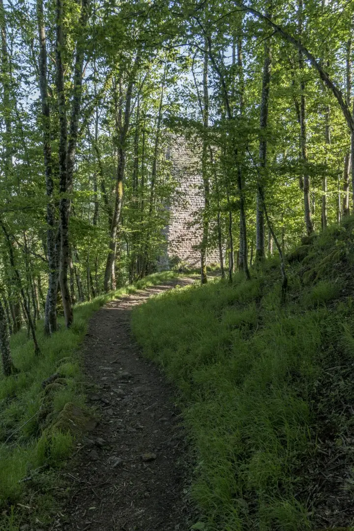 donjon du Bas-Nideck