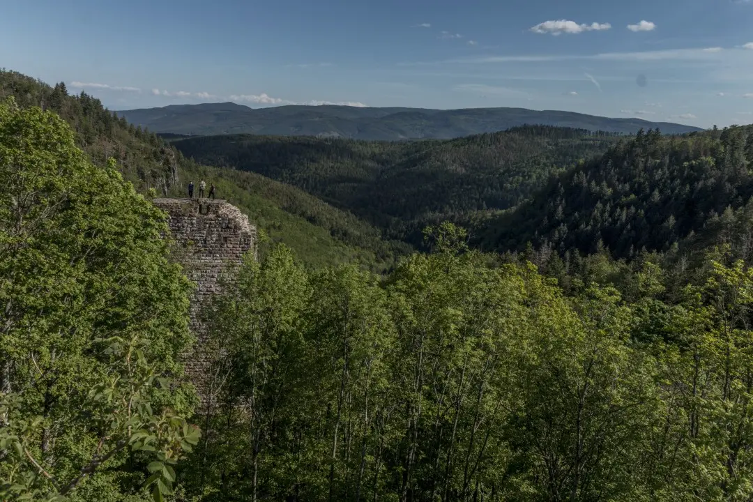 donjon du bas-Nideck vu depuis le Haut-Nideck