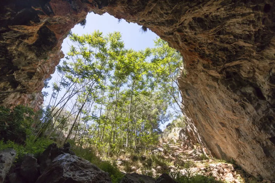 vue sortie grotte skotino