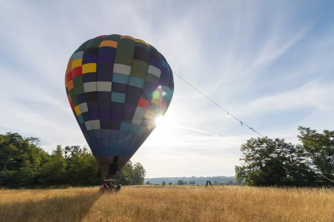 Une montgolfière dans un champ