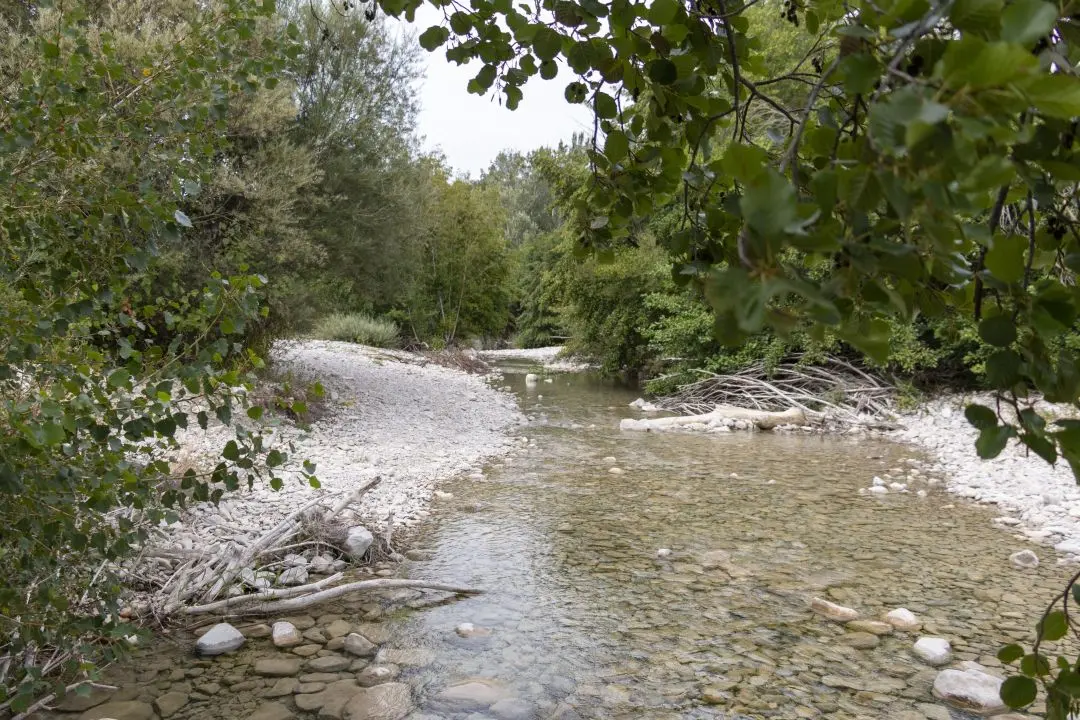 marche dans l'eau toulourenc