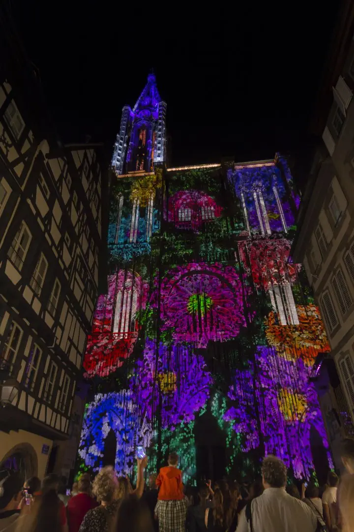 illuminations cathédrale strasbourg 2020