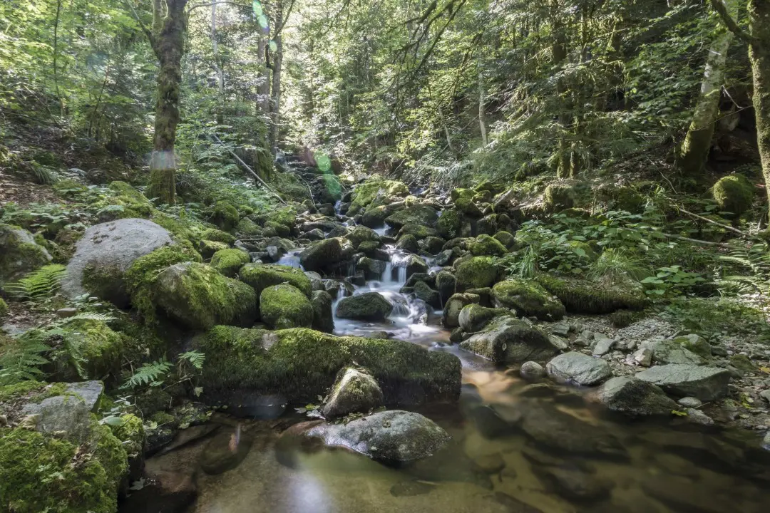 Les pieds dans l'eau fraiche de la cascade