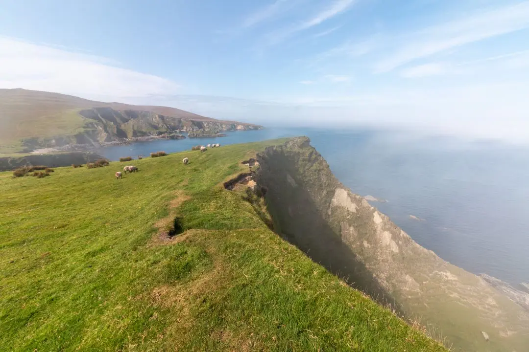 cleggan cliffs brume sommet moutons