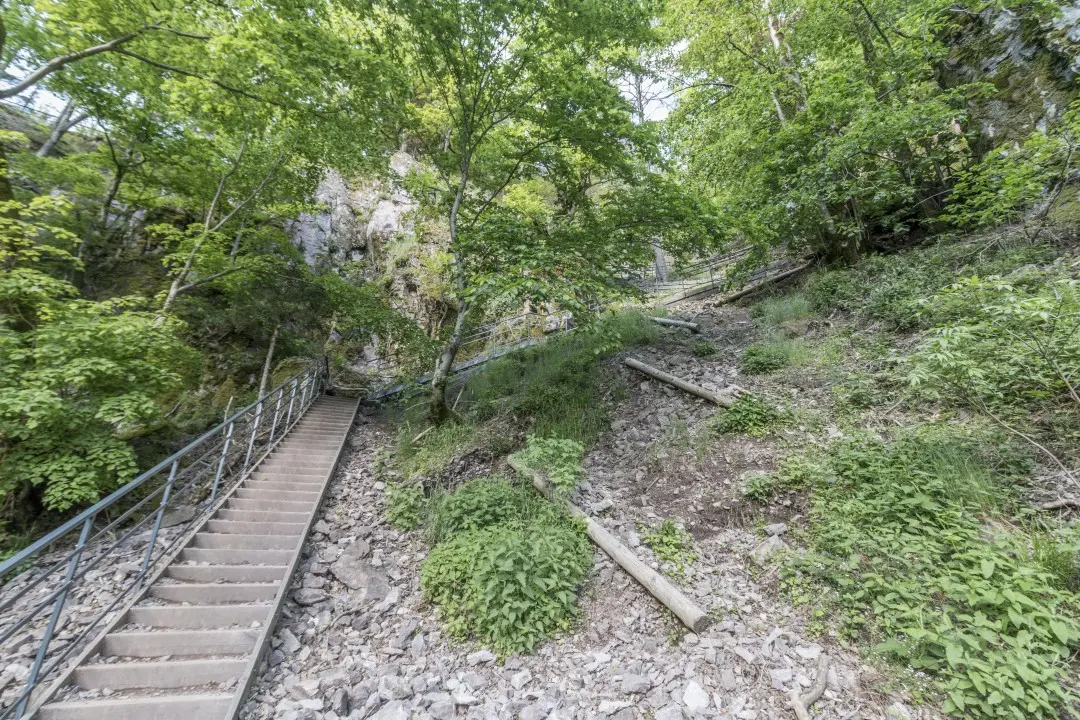 Escalier sommet cascade Nideck