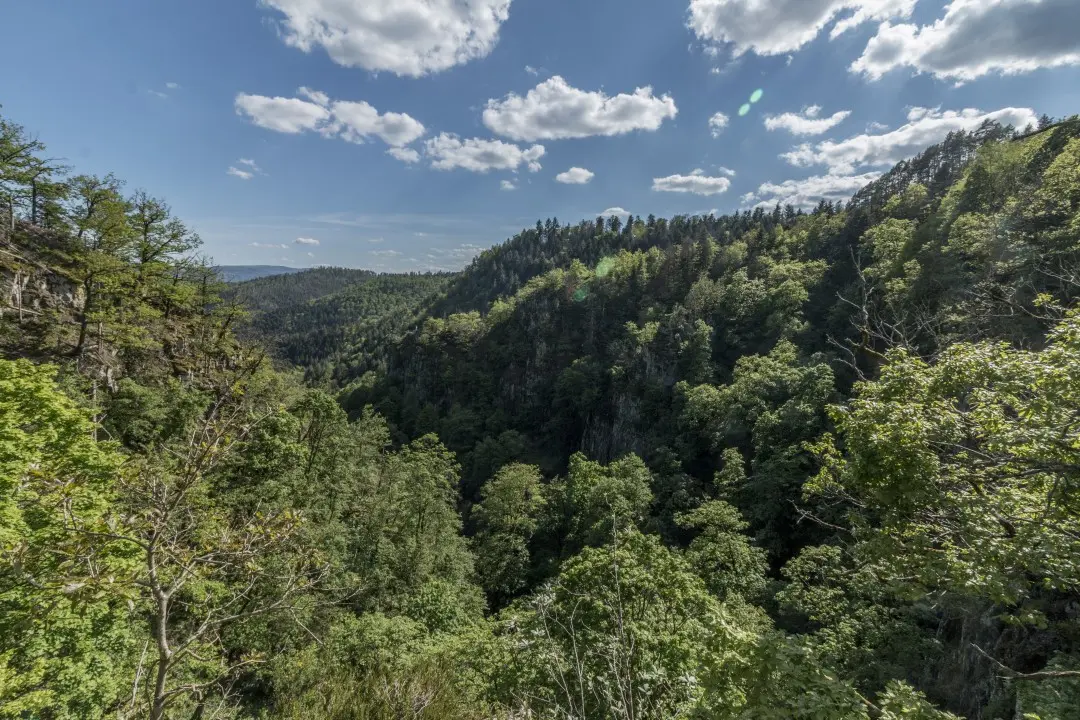 Panorama au sommet de la cascade du Nideck