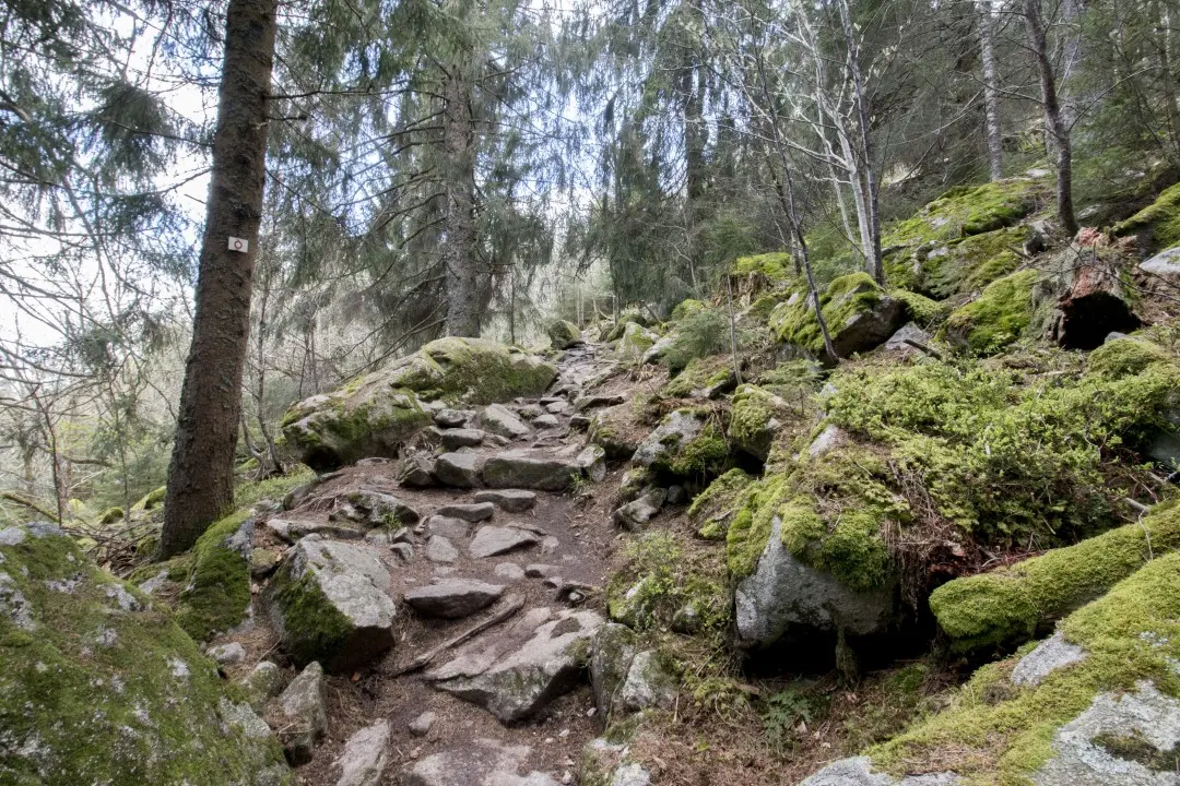 sentier lac blanc balisé cercle rouge rochers