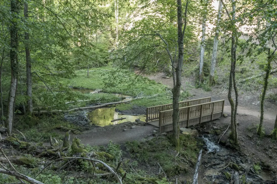 Pont rivière cascade Nideck