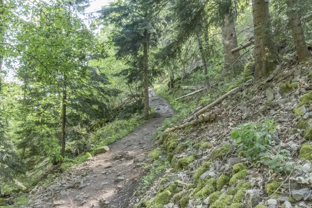 Sentier ruines château Nideck