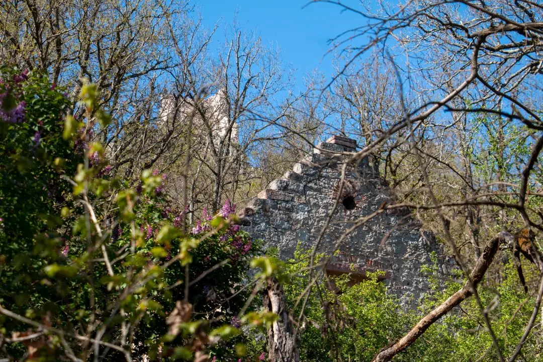 chateau ramstein derrière branches chapelle marche château ortenbourg scherwiller