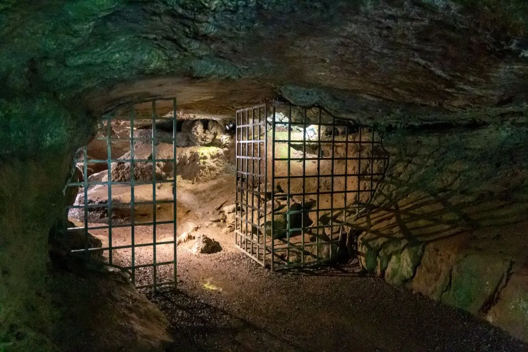 Cave Blarney Castle