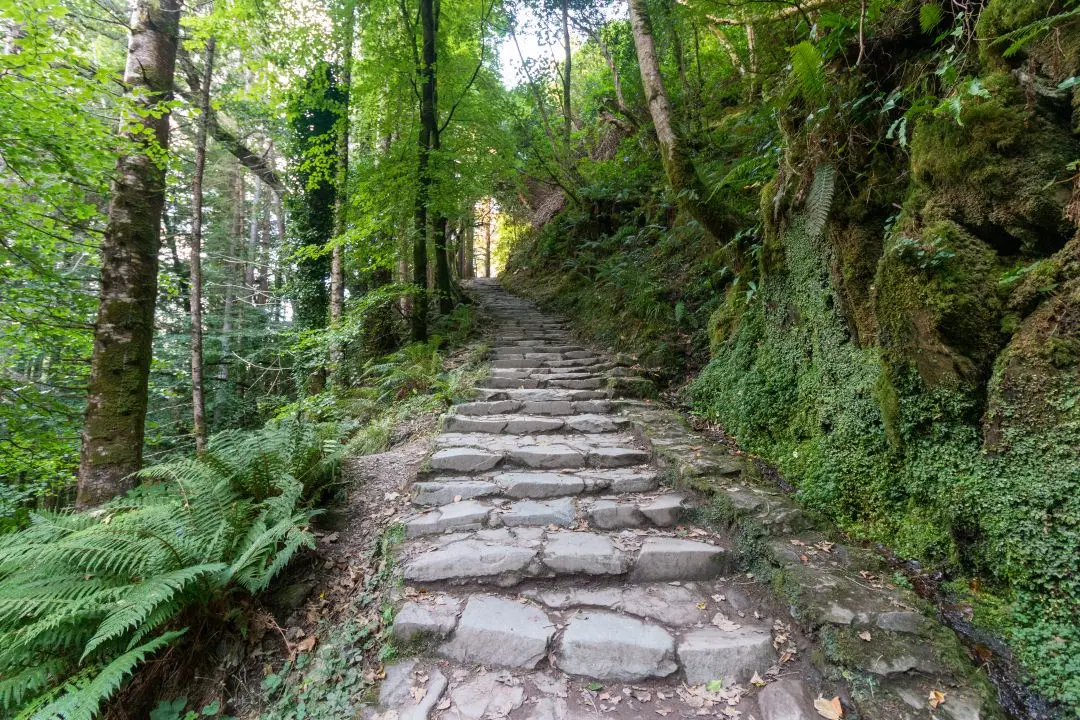 cascade Torc escalier sentier balisé