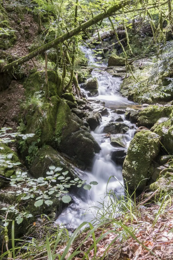 haut de la cascade saint-nicolas