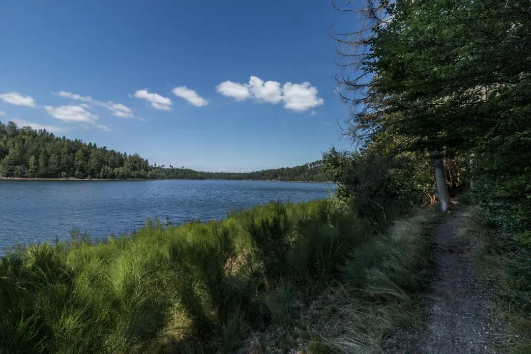 sentier long lac de pierre-percée