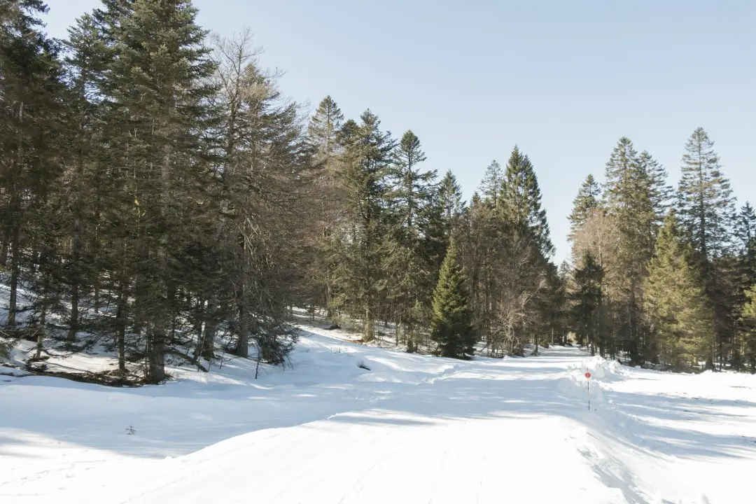 Passage au pieds des pistes